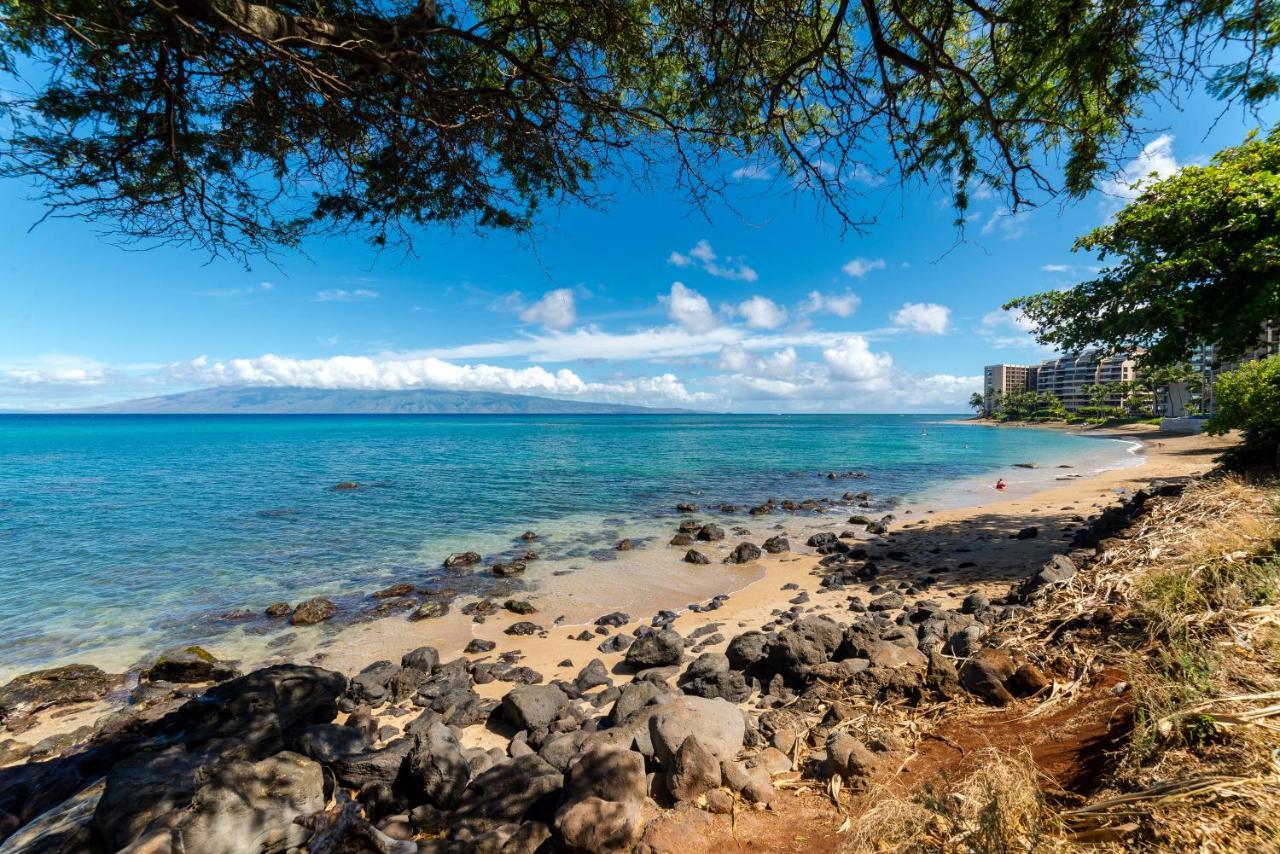 Paki Maui Condos ナピリ・ホノコワイ エクステリア 写真